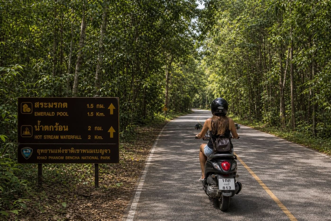 Helmeted rider on a scooter on a tree-lined forest road heading toward the Emerald Pool nature area near Krabi