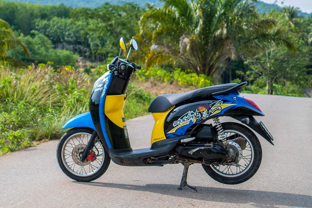Rent Honda Scoopy  in Krabi  Krabi Moto Rentals